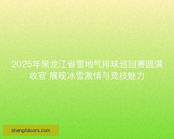 2025年黑龙江省雪地气排球巡回赛圆满收官 展现冰雪激情与竞技魅力 2025年黑龙江省雪地气排球巡回赛圆满收官 展现冰雪激情与竞技魅力