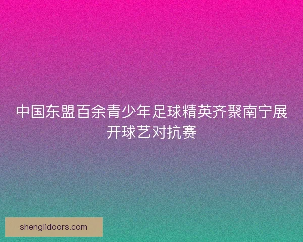 中国东盟百余青少年足球精英齐聚南宁展开球艺对抗赛 中国东盟百余青少年足球精英齐聚南宁展开球艺对抗赛
